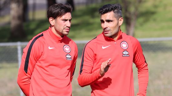 Bruno’s first day at WSW training