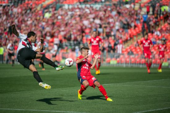 Wanderers continue impressive pre-season with draw against Adelaide