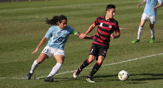 Wanderers downed by Stallions