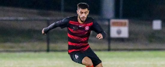 NPL Wrap: Wanderers go down to St George