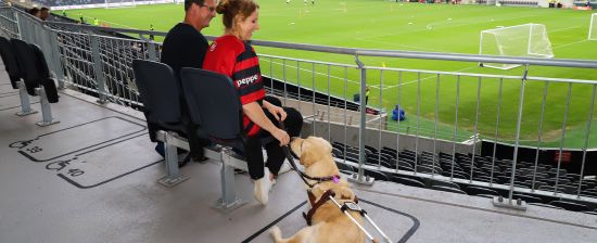 Wanderers team up with Guide Dogs NSW/ACT this weekend